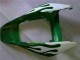 Carenados Moto Honda CBR1000RR 2006-2007 - Blanco Verde Llama