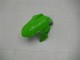 Carenados Moto Kawasaki Ninja 300 EX300R 2013-2024 - Blanco Verde Negro