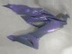Carenados Moto Kawasaki ZX6R 2019-2022 - Camaleón Gris Dazz Púrpura Perla
