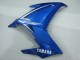 Carenados Moto Yamaha FZ6R 2009-2015 - Azul Blanco