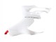 Carenados Moto Ducati Panigale V2 2020-2024 - Blanco Rojo Negro Mate