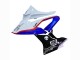 Carenado Moto BMW S1000RR 2017-2018 - Blanco Azul Rojo Negro Brillante