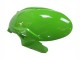 Carenados Moto Kawasaki ZX6R 2023-2025 - Verde Negro