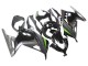 Carenados Moto Kawasaki EX300 2013-2024 - Negro Brillante Negro Mate Verde