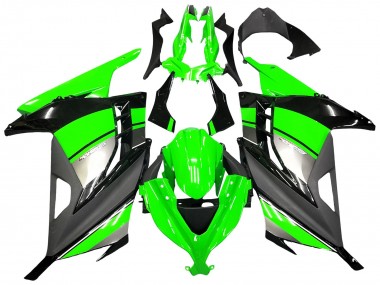 Carenados Moto Kawasaki EX300 2013-2017 - Verde Plata Negro