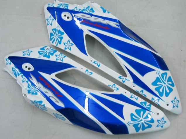Carenados Moto Honda CBR1000RR 2004-2005 - Blanco Azul Nieve Nastro Azzurro 46