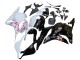 Carenados Moto Honda CBR600RR 2009-2012 - Blanco Cherry Blossom Negro Brillante
