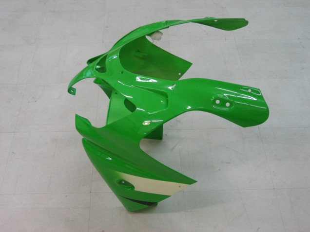 Carenados Moto Kawasaki ZX9R 2000-2001 - Verde Plata Negro