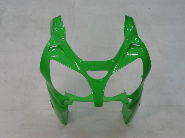 Carenados Moto Kawasaki ZX9R 2000-2001 - Verde Plata Negro