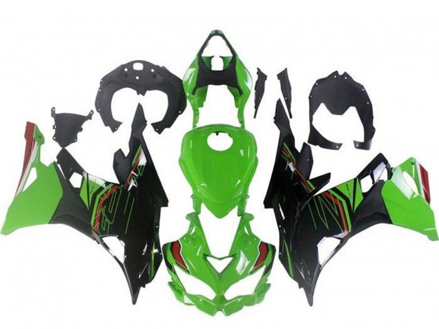 Carenados Moto Kawasaki ZX4R ZX-4RR 2019-2025 - Verde Negro Rojo